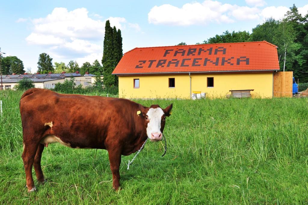 Farma Ztracenka Hotell Porici nad Sazavou Exteriör bild