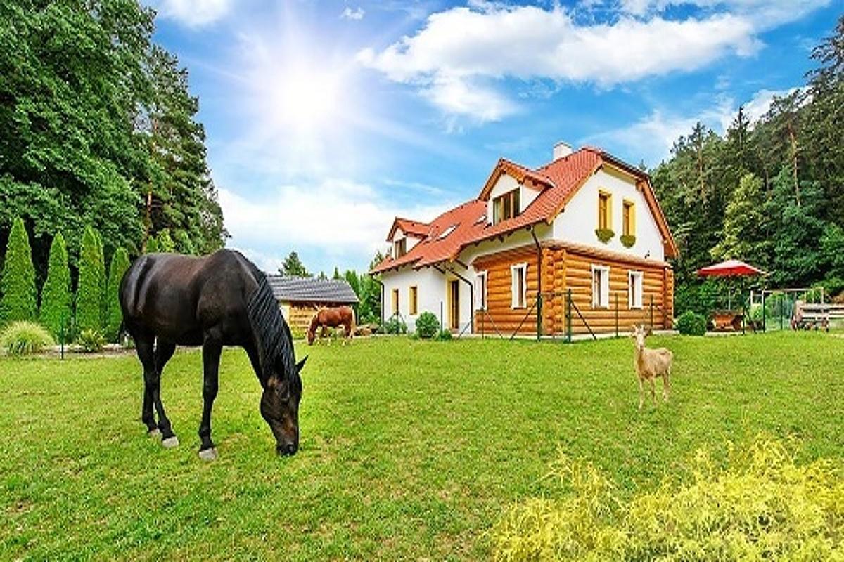 Farma Ztracenka Hotell Porici nad Sazavou Exteriör bild